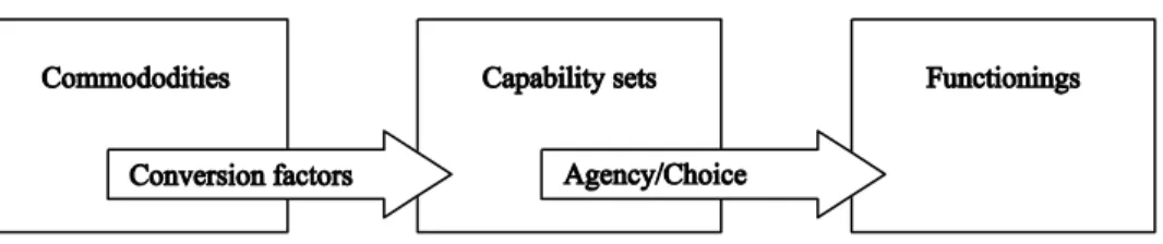 Figure 3.1: The building blocks of capability approach (Goerne, 2010:7)