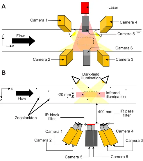 Fig. 1. Schematic of the simultaneous tomographic PIV and 3D PTVmeasurement system. Cameras 1–4 (orange) acquire tomographic PIVimages and cameras 5 and 6 (gray) acquire 3D PTV images