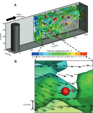 Fig. 3. Volumetric flow field and copepod distribution.(A) Volumetric flow field and copepod distribution behind afor clarity