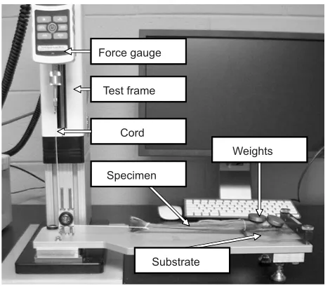 Fig. 3B). After sampling the contact surface at a particular wavelength, theslopes along the virtual traces were determined