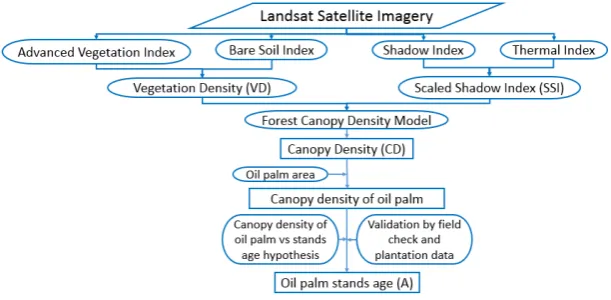 Figure 1. Forest canopy density model 