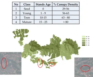 Table 5. Correlation stands age with canopy density 