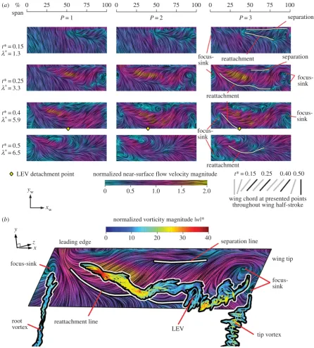 Figure 6. Three-dimensional flow topology: (a) selected planform views for P ¼ 1, 2 and 3 wing upper surface with near-surface skin friction lines coloured by in-plane normalized velocity magnitude
