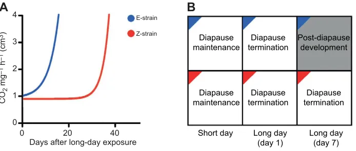 Fig. 1. Divergence in the timing of