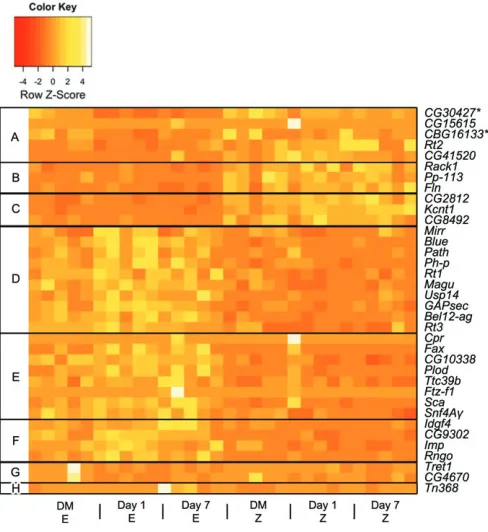 Fig. 2. Heatmap of differentially expressed genes within the Ketto the E-strain; (B) three genes upregulated in the Z-strain on day 7 relative tothe E-strain; (C) three genes upregulated in the Z-strain on days 1 and 7 relativeto the E-strain; (D) 10 genes