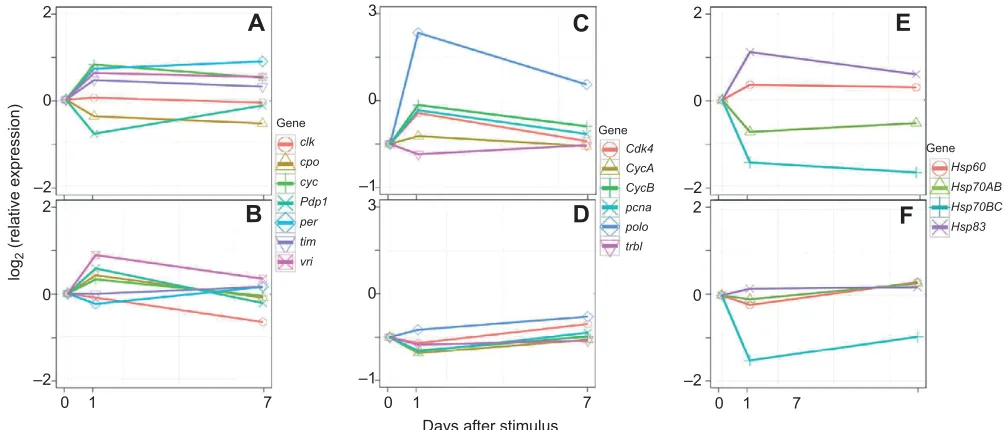 Fig. 4. Pathways with correlated changes in gene expression during the diapause developmental pathway