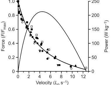 Fig. 1. Schematic of in vitro experimental setup to study MTU contractions against ‘real-world’ loads
