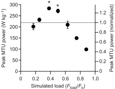 Fig. 4. Peak power output during muscle contractions against simulatedloads. At intermediate loads, peak power output developed by the MTUexceed the peak isotonic power of the muscle contractile apparatus (dottedline)