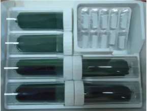 Fig 3. Samples ready for incubation 