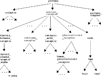 Table 1: The distribution of domain specific verbs 
