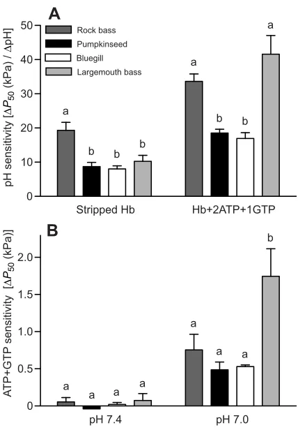 Fig. 5. The sensitivity of haemoglobin (Hb)–pairwise difference between species (phosphates varied across species.species and the presence of organic phosphates (ATP and GTP), as well as asignificant species×organic phosphate interaction, on pH sensitivity