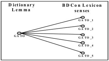 Figure 1. Relation between the part-of-speech tagger dictionary and the word senses in the BDCon