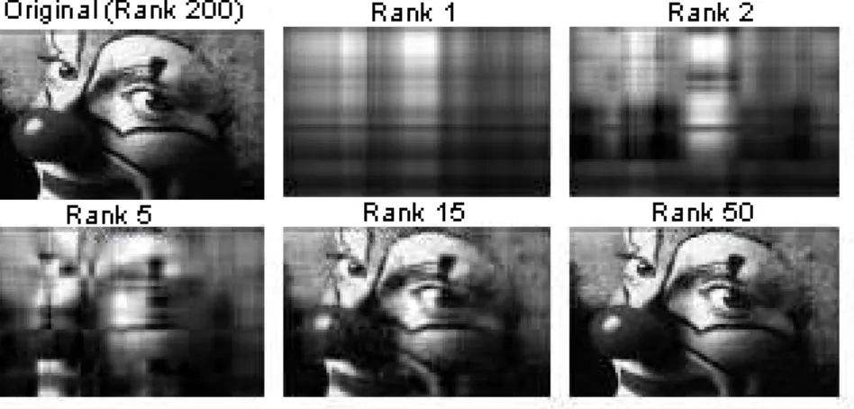 Figure 3.2: SVD in image compression: View the m × n image as a matrix. The rank of this matrix was reduced from r = 200 to k = 1, 2, 5, 15, 50