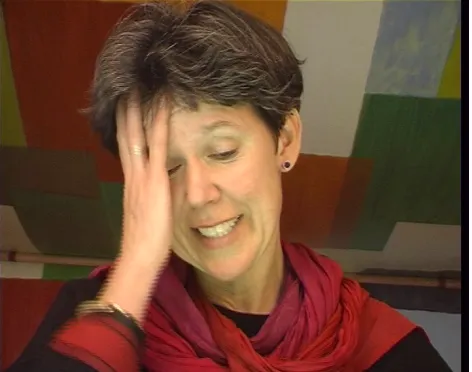 Figure 2: Example of an episode that was labeled as"anger/irritation" in the holistic labeling step.