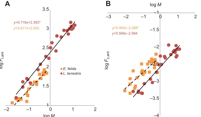 Fig. 5. Comparison of calculated mechanical) mechanical advantage as afunction of earthworm body mass