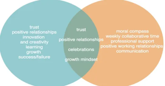 Figure 3.  A Venn diagram intersection of commonalities of the initial and revised Conceptual 