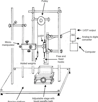 Fig. 8. Mounting frame and instrumentationfor fixed stress testing of compliance.Apparatus stretch, which is small relative to loopstretch, was first measured by loading weightswith the two hooks connected; this wassubtracted from the subsequent measured l