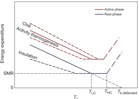 Fig. 1. Scholander curves describe the relationship between ambienta decreases belowreducesof heat generated by activity for thermogenesis (activity thermogenesis)reduces the energy expenditure increase when TLCTa) whenEnergy expenditure in the thermoneutr