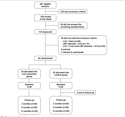 Fig. 1 Flow chart of the study