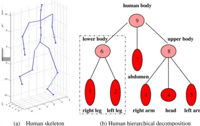 Fig. 8. (a) Example of a typical human skeleton used for recognition. (b) Example of a typical hierarchy of human body parts in a tree structure as in [22] c 2010 Elsevier