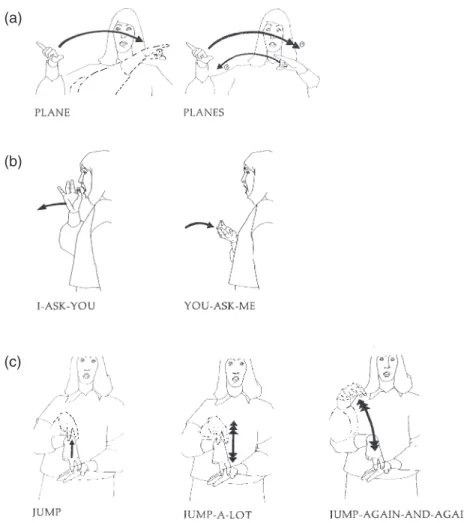 Figure 43.2 Examples of non-concatenative (simultaneous) morphology in British Sign Language (BSL) From Kyle and Woll (1985)