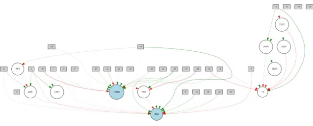 Figure 2: A Winning Neural Network Generated by NEAT