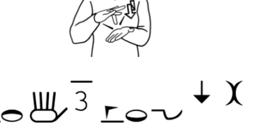 Figure 3: Hamburg Notation System 