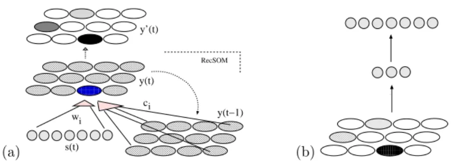 Fig. 1: (a) RecSOMsard architecture. The bottom part (without the top layer) represents RecSOM whose activity vector y is transformed to y’ by a mechanism described in the text