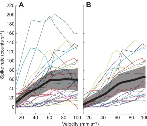 Fig. 3A, bottom) approximated the temporal dynamics of the