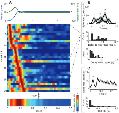 Fig. 3. Neural unit temporal processing and summation. (A) Top panel shows wall position and velocity for fastest-moving wall stimulus (meanvelocity=110 mm s−1; wall moving towards cockroach)