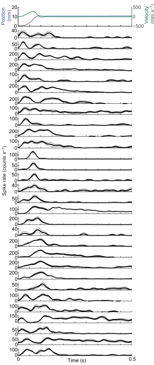 Fig. 4. D-sensitive neural units with phasic and phasic-tonic responses.The wall onset is attop to bottom, neurons are sorted in increasing order according to their delay to t=0