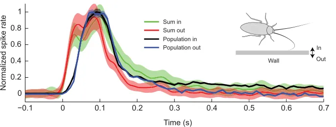 Fig. 5. Summation of Gaussian-convolved spikerates for variable-velocity neurons as a functionaway (110 mm sshown for comparison (velocity=193 mm sof time for wall moving towards and away fromanimals