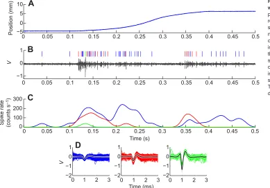 Fig. 7. Multi-unit extracellular recording during a ramp-and-hold wall stimulus as a function of time