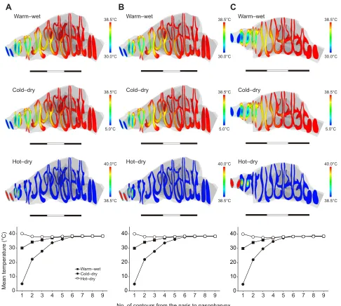 Fig. 3. Temperature distribution in the nasal passage. (Top) The contours represent the temperature distribution at each level from the nares to thesavanna monkey,nasopharynx, which were simulated with the normal model (A) and the no-MS model (B) for Japan