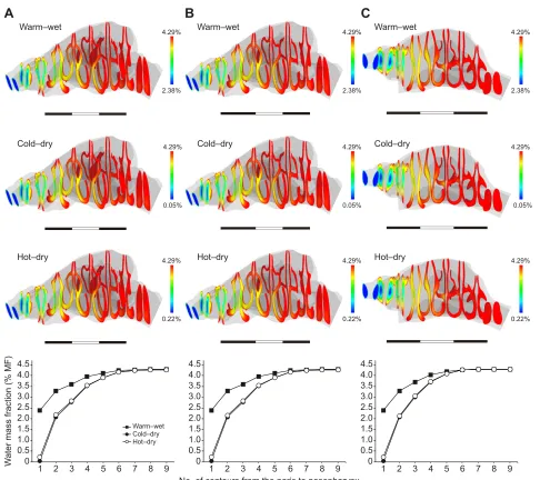 Fig. 4. Water mass distributions in the nasal passage. (Top) The contours represent the distribution of the water mass fraction (MF) at each level from the naresto the nasopharynx, which were simulated with the normal model (A) and the no-MS model (B) for 