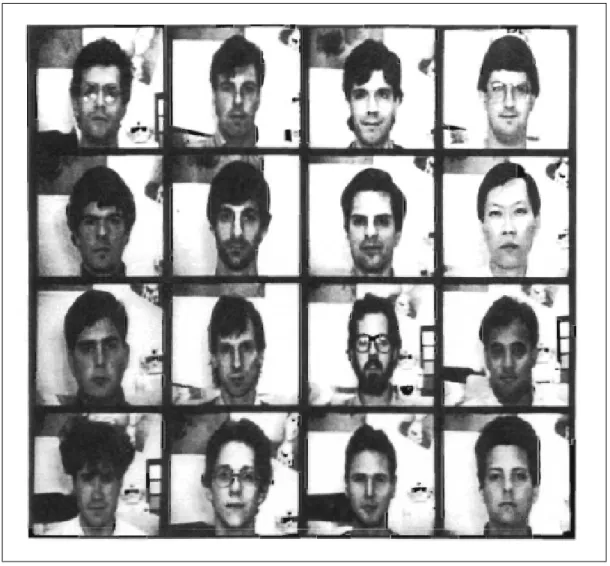 Figure 6: Face Images [14]
