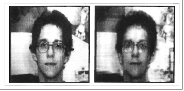 Figure 8: Original and projected known image [14]
