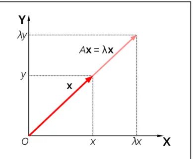 Figure 1: Eigenvalue and Eigenvector