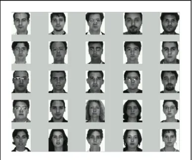Figure 2: Original Images