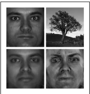 Figure 4: Projection of known and unknown images into the eigenspace