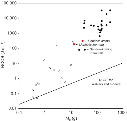 Fig. 3. Effect of sand type and temperature on burrowingrate and net cost of burrowing (NCOB) in L