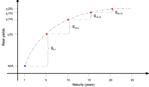 Figure 5.1. Structure of the real yield curve simulation method, where ( • ) denotes spot yield and (  ) denotes real yields y (t,s) (m), m = {5, 10, 15, 20}.