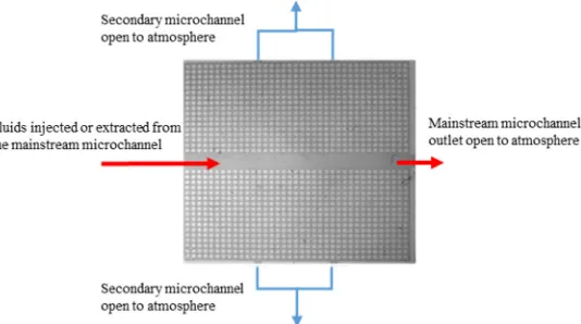 Figure 4 involves imbibition and drainage processes. The experimental fluids are water and oil We performed the experiments in micromodels comprising mainstream channels with different the model and (2) extracting water from the model