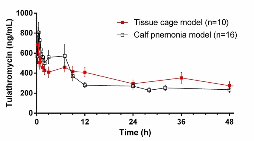 Fig. 2. Tulathromycin concentration in serum over the first 12 h after subcutaneous 