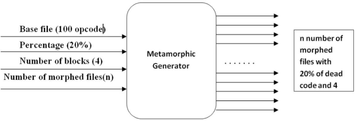 Figure 1: Metamorphic Generator