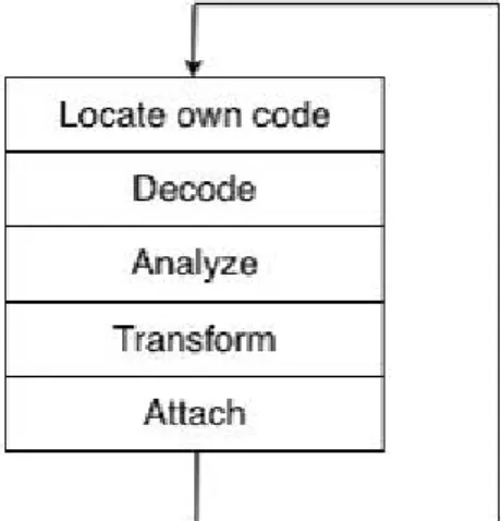 Figure 5: Units in metamorphic model [7]