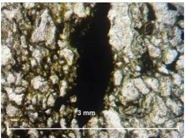 Figure 19. Thin section of the sample with less organic material. Obj.8x//N. 
