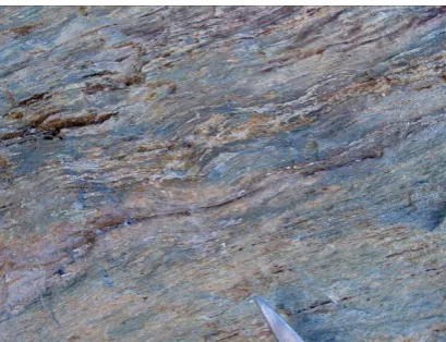 Figure 22. A block of green schists 300 m northeast of the sampling point Sandstone_red1 from T1 (Table 4)