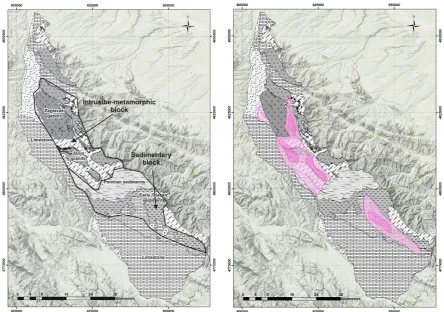 Figure 3. Schematic representation of geologic units and intrusive-metamorphic and sedimentary blocks of Stara Planina