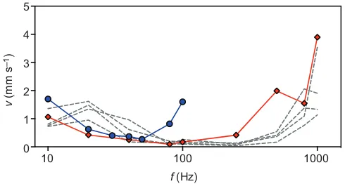 Fig. 3. Comparative vibrotactograms for two harbor seals and four humansubjects.(red) are shown with the same measurements obtained for four humansubjects (dashed lines)